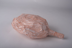 http://www.jasminesmail.co.uk/files/gimgs/th-18_Leaf, 2020.jpg